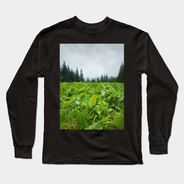 green meadow Long Sleeve T-Shirt by psychoshadow